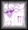 the amulet